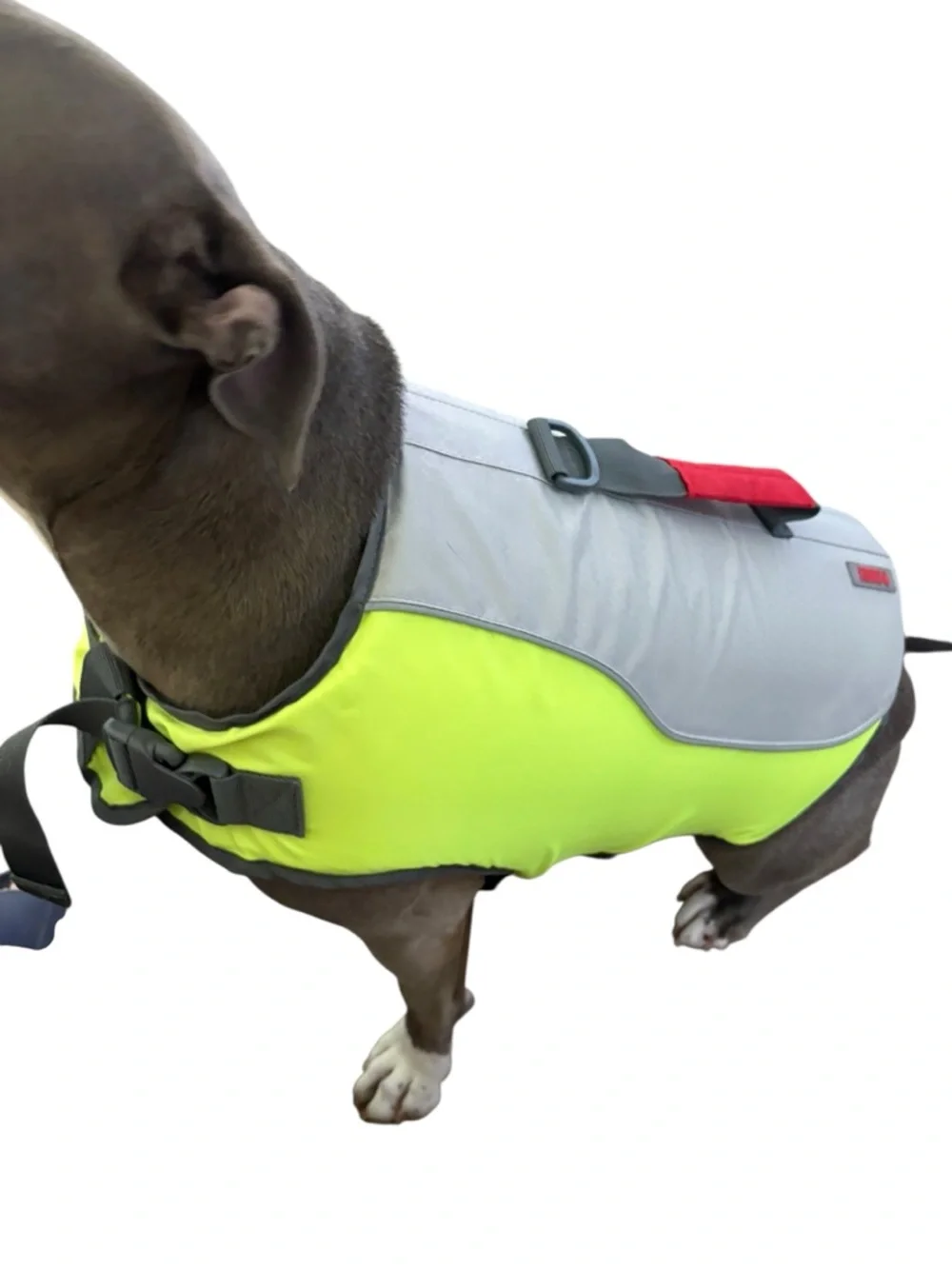 Kong Dog Life Jacket Vest XL 50-80 Pounds Yellow and Gray